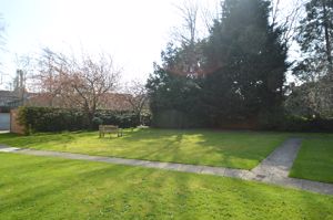 Photo 8- click for photo gallery